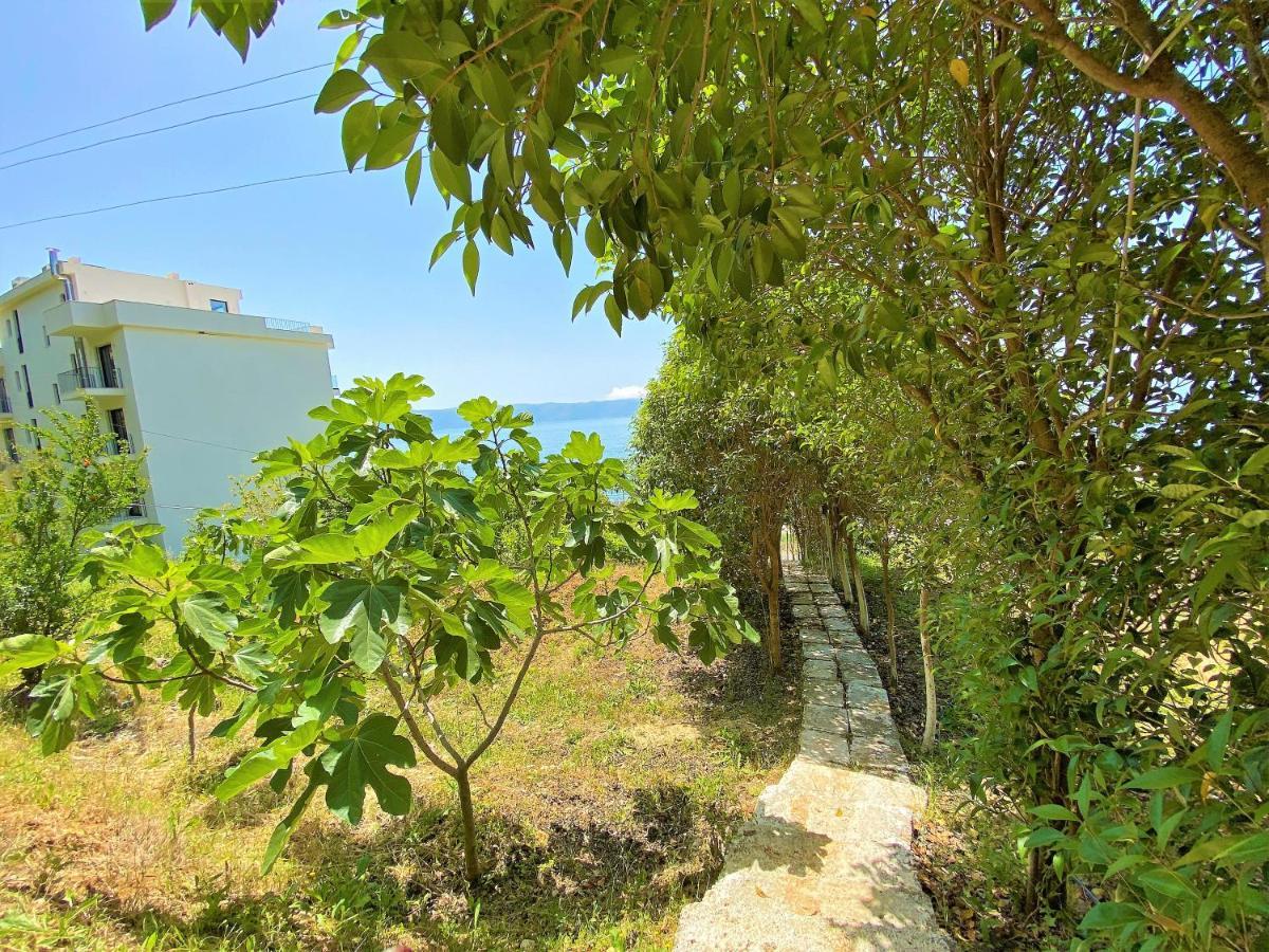 Ramo'S Cozy Beachside Haven With Panoramic Views - 1St วญอเรอ ภายนอก รูปภาพ
