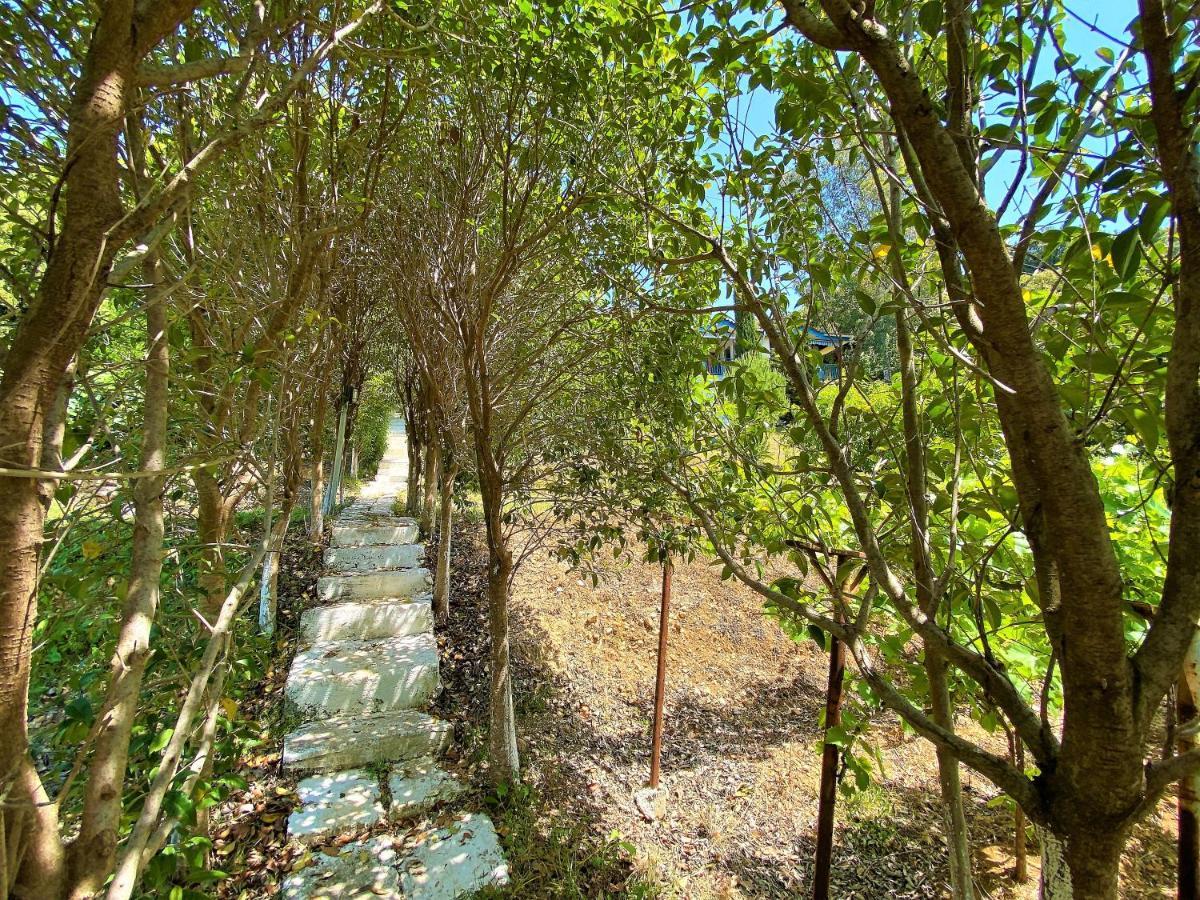 Ramo'S Cozy Beachside Haven With Panoramic Views - 1St วญอเรอ ภายนอก รูปภาพ
